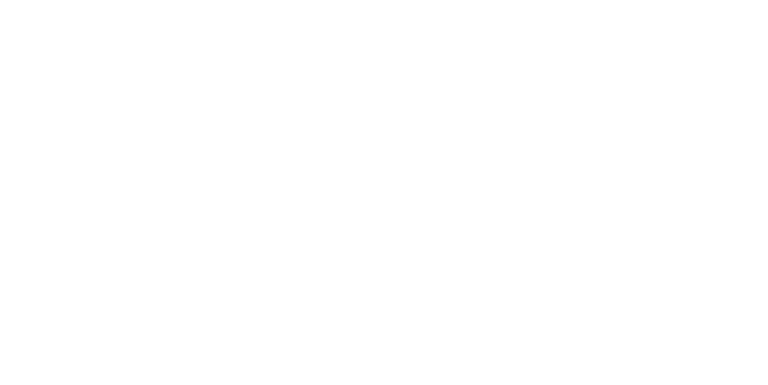 히스토리