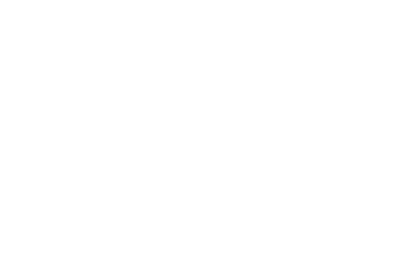 STORY